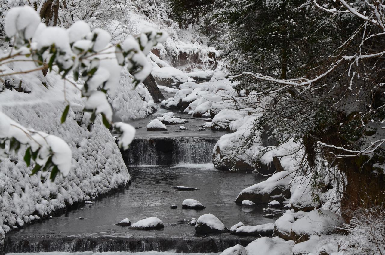 Kurokawa Onsen Oku No Yu Hotel Minamioguni Buitenkant foto